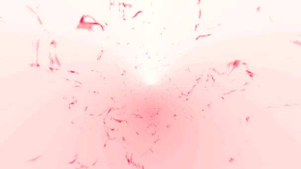 特朗普涡旋效应吸引红尘粒子 水进入深度 抽象明亮的背景 — 图库视频影像