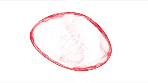 Efeito Círculo Circular Ondulado Vermelho Moldura Formando Uma Rede Partículas — Vídeo de Stock