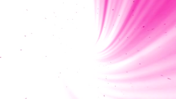 Bright Pink Rays Upper Right Side Center White Background Space — Stock Video