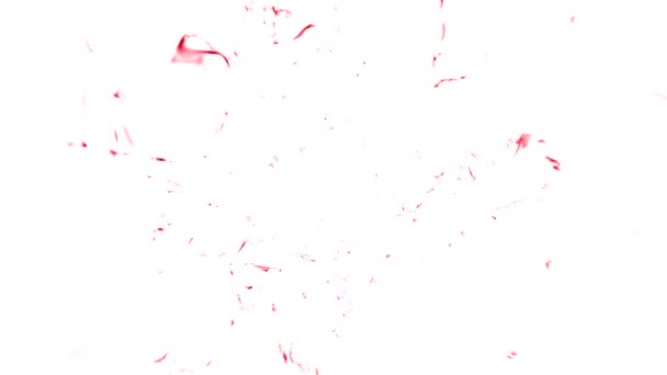 特朗普涡旋效应将灰尘埃微粒拉到深处 水进入抽象的白色背景 — 图库视频影像