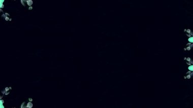 siyah arka plan ile çerçeve çiçek