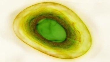 Soyut Yeşil ve Turuncu Girdaplar