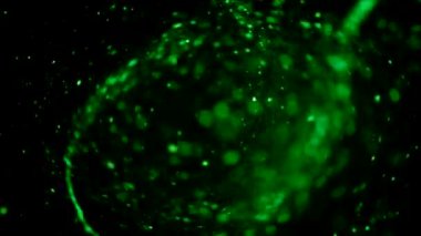 yeşil arka plan ile su damlaları