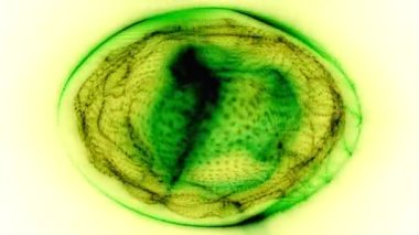 fantezi kaotik renkli fraktal desen. Soyut fraktal şekiller. 3d resimleme arkaplanı veya duvar kağıdı oluşturuluyor.