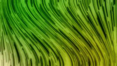 Açık yeşil çizgili vektör dokusu. Renkli çizgileri ve işleriniz için bulanık şablonları olan soyut simgeler.