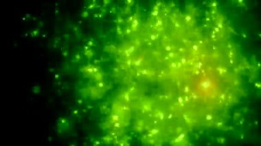 fondo abstracto de luces verdes