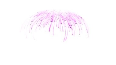 Pembe Noel ağacı beyazda izole edilmiş.