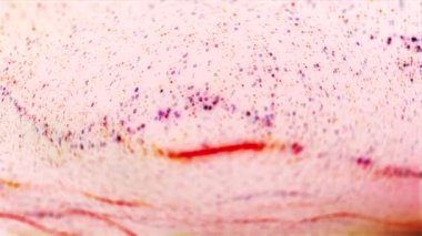 Soyut, Renkli, ve Dinamik, Mikro Kozmik