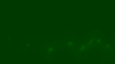 Parlayan dalgalardaki enerji hatları. koyu soyut arkaplan vektörü neon ışığı, vektör illüstrasyonu