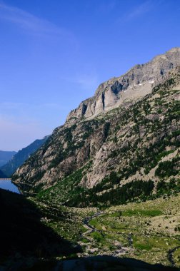 Güneşle gölge arasında akan sakin bir dağ deresi olan bir vadinin dikey fotoğrafı.