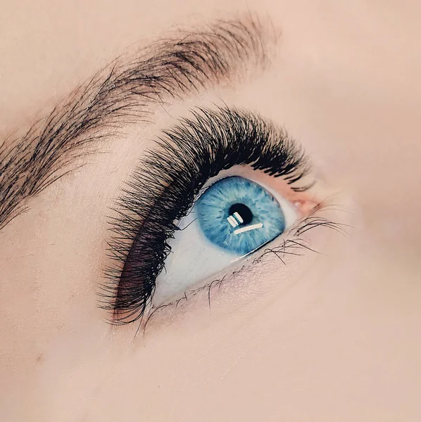 Schöne Makroaufnahme Eines Weiblichen Blauen Auges Mit Langen Falschen Wimpern — Stockfoto