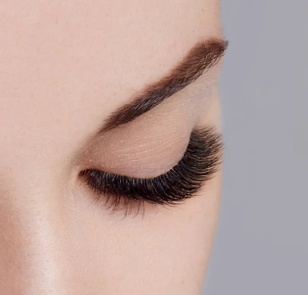 Beautiful macro shot of female eye with long false lashes. Young woman with makeup and eyelash extensions. Closeup beauty photo of classic 3d 4d 5d elegant wispy effect volume lash extension set natural style effect