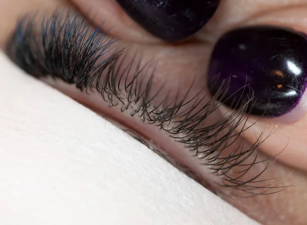 Correct Application Volume Cluster Fans Artificial Lashes Lash Layers Eyelash — Stock Photo, Image