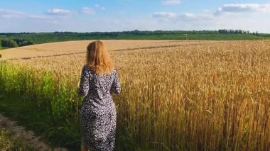 Bir kız büyüyen buğday tarlasının yanında yürüyor, olgunlaşmamış ve olgunlaşmamış, hasat zamanı ve tahıl hasadı, mavi gökyüzünün ve bulutların arkasında.