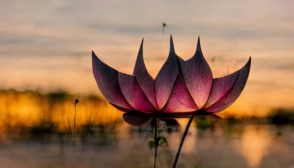 Lotus flower at sunset.Illustration for books, cartoons and printing products.