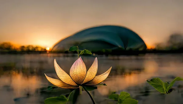 Lotus flower at sunset.Illustration for books, cartoons and printing products.