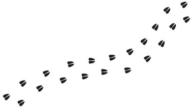 At, inek, keçi, koyun, geyik, geyik, antilop ayak izleri. Artiodactyl toynaklar. At izleri. Vahşi at sürüsü. Siluet. Vektör izole edildi. Hayvan dükkanı, baskı, tekstil, oyun, kartpostal, kitapçık