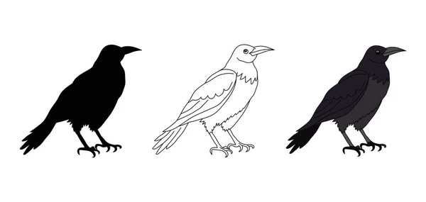 Corbeau Noir Corbeau Contour Silhouette Corbeau Couleur Vecteur Isolé Sur — Image vectorielle