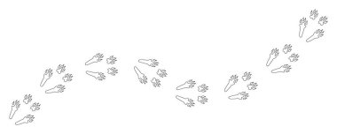 Rabbit or hare tracks in the snow. Path footprints of Rabbit, hare, bunny or pika. Rabbit paws. Hare steps. Contour. Vector isolated. Diagonal track. Pet shop, print, textile, game, postcard, zoo clipart
