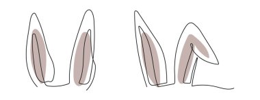 Tavşan kulağı çizmeye devam et. Komik Paskalya tavşanı kulakları çizgisi. Beyaz arka planda izole edilmiş. Minimalist tarzda. Yazdırma, selamlama, kartpostal, hatıra defteri için tasarım öğesi. Ayarla