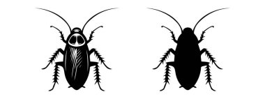Hamamböceği siyah siluetleri, detaylı ve sağlam. Böcek vektör çizimi. Beyaz zemin üzerinde izole edilmiş haşere kontrolü, istila, ev hijyeni. Tasarım, baskı, eğitim materyali için