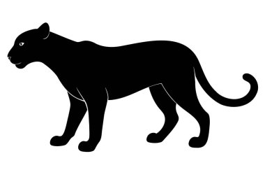 Siyah panter silueti, çita, kaplan ya da beyaz arka planda izole edilmiş dişi aslan. Vahşi kedi. Grafik çizimi. Simge, resim, şablon, işaret, logotype, baskı, tasarım ögesi