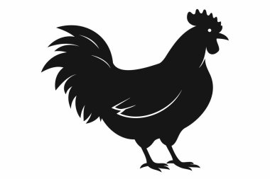 Ayakta duran bir horoz silueti. Siyah tavuk çizimi, kuş figürü, basit hayvan ikonu tasarımı konsepti. Beyaz arkaplanda siyah siluet izole edildi.