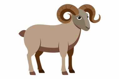 Çizgi filmdeki koca boynuzlu koyunlar büyük kavisli boynuzları ve kahverengi kürkleriyle öne bakıyor. Sevimli hayvan çizimi. Vahşi yaşam, doğa, koç, hayvan tasarımı, illüstrasyon konsepti. Beyaz arkaplanda izole.