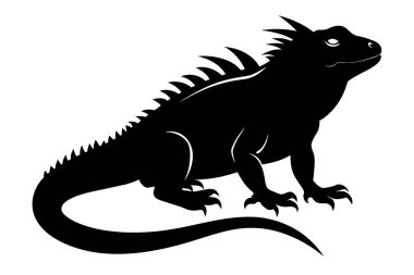 Beyaz arka planda izole edilmiş siyah bir iguana silueti. Sürüngen illüstrasyonu, minimalist stil, vahşi hayvan sanatı. Yazdır, simge, logo, şablon, pictogram, tasarım elementi.