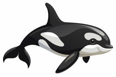 Katil balina beyaz arka planda izole edilmiş. Okyanus yaratığı illüstrasyonu, minimalist stil, deniz yaşamı, balina. Yazdır, simge, dijital sanat