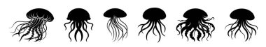 Akan dokunaçları olan denizanasının siyah siluetleri. Oceanic medusas. Okyanus hayvanı kavramı, deniz yaratığı. Grafik çizimi. Yazdırma, simge, logo, tasarım için element. Beyaz arkaplanda izole