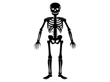Beyaz arka planda izole edilmiş siyah bir insan iskeleti silueti. Cadılar Bayramı konsepti, anatomi çizimi, kemik yapısı, ürkütücü çizimler. Yazdır, simge, tasarım ögesi.