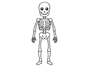 Beyaz arka planda izole edilmiş siyah bir insan iskeleti. Cadılar Bayramı konsepti, anatomi çizimi, kemik yapısı, ürkütücü çizimler. Yazdır, simge, tasarım ögesi