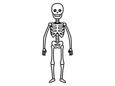 Beyaz arka planda izole edilmiş siyah bir insan iskeleti. Cadılar Bayramı konsepti, anatomi çizimi, kemik yapısı, ürkütücü çizimler. Yazdır, simge, tasarım ögesi
