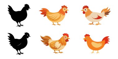 Beyaz arka planda izole edilmiş renkli çizgi film tavukları ve siyah siluetler. Çiftlik hayvanları kavramı, kümes hayvanları çizimi, komik tavuklar, sevimli kuşlar. Yazdırma, simge, tasarım ögeleri.