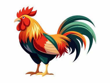 Beyaz arka planda canlı renkli horoz çizimi. Çiftlik hayvanları, kümes hayvanları, çiftlik hayvanları sanatı ve kırsal yaşam kavramı. Yazdırma, simge ve dizayn ögeleri için ideal.
