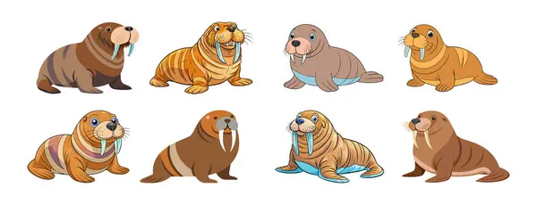 stock vector Cute Cartoon Walruses Isolated on a White Background. Concept of Marine Animals, Adorable Sea Creatures, Funny Walrus Illustrations. Print, Icon, Design Element.