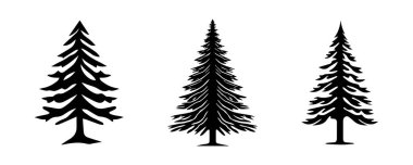 Siyah kozalaklı ağaç siluetleri beyaz bir zeminde izole edilmiş. Doğa Illustration, Evergreen Trees, Pine, Spruce, Firavun, Minimalist Style, Forest. Yazdırma, Simge, Tasarım Elemanı.