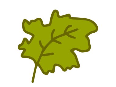 Beyaz arka planda yeşil yaprak izole edilmiş. Doğa kavramı, bitkiler, minimalist stil, sonbahar sanatı, mevsimlik tema. Tasarım ögesi, simge, yazdırma.