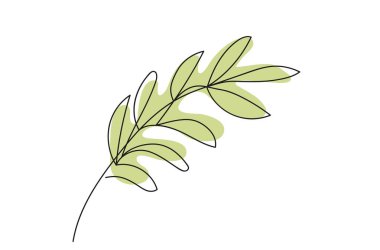 Beyaz Arkaplan 'da yaprakları izole edilmiş bir dal çizgisi devam ediyor. Çizgi çalışması. Zeytin dalı. Basit Yeşil Yaprak Çizimi. Bitki. Barış kavramı, organik element, doğa, botanik sanat.