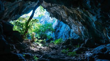 Alacakaranlık 'taki bir mağara girişinden doğal ışık ve yemyeşil bir manzara. Açık Hava Macerası, Doğa Keşfi, Huzur Çekilme Konsepti.