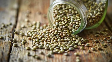 Hulled Hemp Tohumları Rustik Tahta Yüzey üzerine bir kavanozdan dökülüyor, Sağlıklı Beslenme Konsepti, Organik Süper Yiyecekler, ve Doğal Mutfak Malzemeleri.