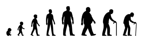 Black silhouette icon set of male life stages from fetus to elderly including baby, toddler, child, teenager, adult man, middle aged, senior person. human aging process, life cycle evolution, lifetime.
