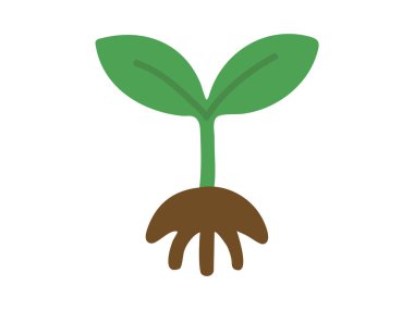 Beyaz arka planda izole edilmiş kökleri olan yeşil tohum, genç bitkinin filizlenmesinin grafiksel çizimi. Büyüme, ekoloji, doğa, tarım, botanik, bahçıvanlık, ekme, tasarım unsuru, simge.