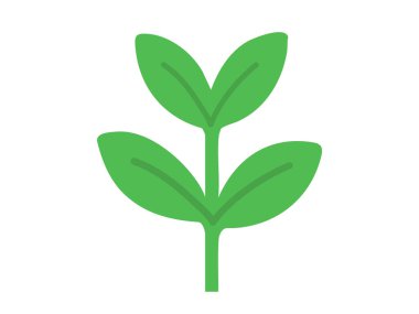 Beyaz arka planda yaprakları olan yeşil yapraklı bitki, grafik çizimi. Tohum, doğa, botanik, bitki ikonu, çevre dostu tasarım, bitkisel element, fidan.