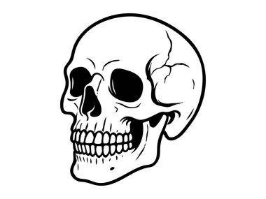 İnsan kafatasının grafiksel çizimi, beyaz arka planda izole edilmiş, anatomi çalışmaları için mükemmel, cadılar bayramı dekoru, dövme tasarımı, eğitim materyali, siyah özet, ölüm sembolü.