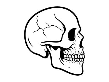 Beyaz arka planda izole edilmiş siyah insan kafatası tasviri. Anatomi konsepti, tıbbi çalışma, sembolizm, tasarım unsuru, cadılar bayramı dekoru, ölüm sembolü.