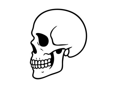 Beyaz arka planda izole edilmiş siyah insan kafatası çizgisi, grafik çizimi. Anatomi, kemik yapısı, bilim eğitimi, tıbbi ikon, cadılar bayramı dekoru, ölüm sembolü.