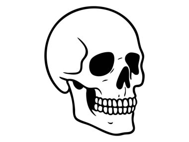 Beyaz arka planda izole edilmiş siyah kafatası çizgisi, grafik çizimi. Anatomi, kafatası ikonu, gotik sanat, tıbbi çalışma, tasarım unsuru, cadılar bayramı dekoru, ölüm sembolü.