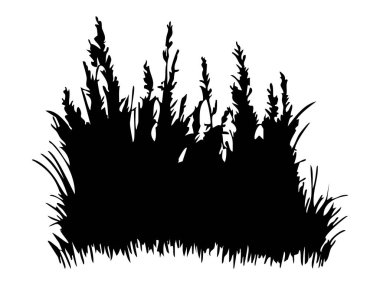 Beyaz arka planda izole edilmiş yabani ot ve bitkilerin siyah silueti, botanik çizimler. Doğa, bahçe tasarımı, peyzaj, çiçek sanatı, açık hava dekorasyonu..